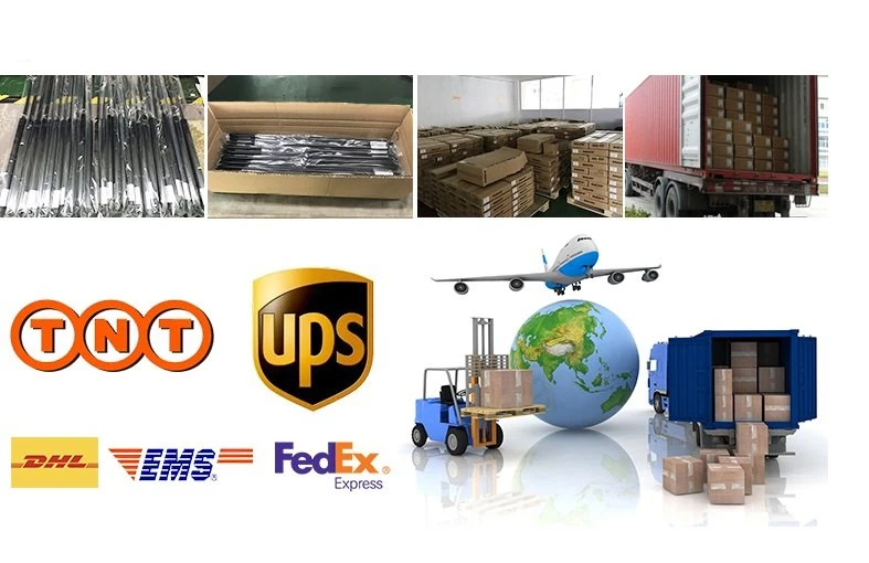 Delivery & Shipping